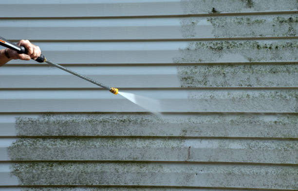 Best Roof Power Washing Services  in Blair, NE